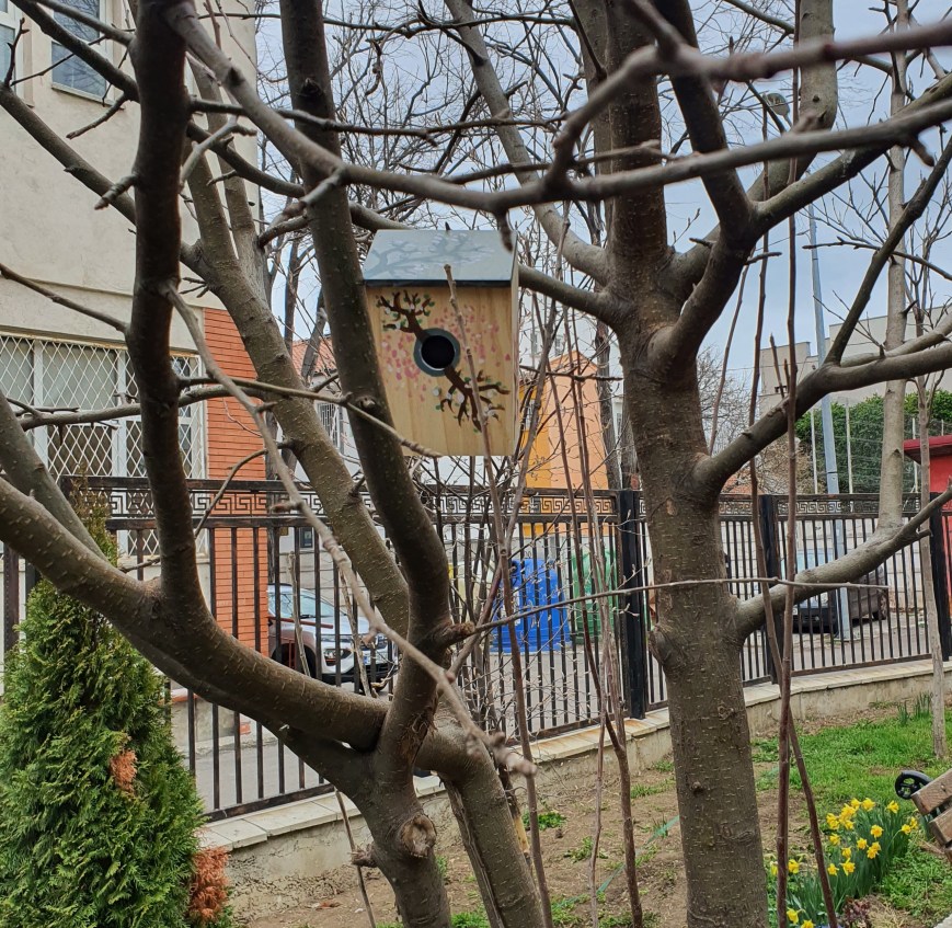 Jurnal de explorare în Săptămâna verde – ziua 5