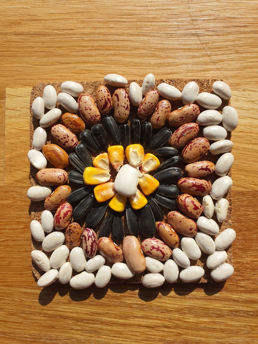 Bob cu bob colorăm toamna