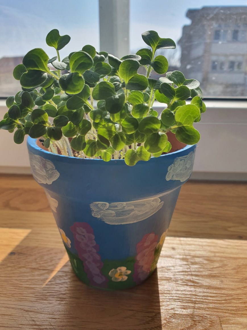 Bucăți de primăvară 🌷