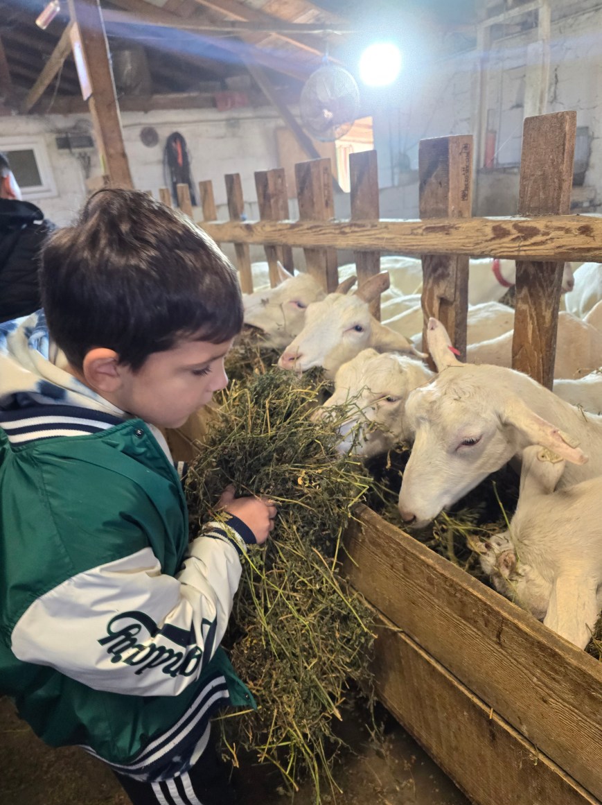 Jurnal de explorare în Săptămâna verde – ziua 2 🐐